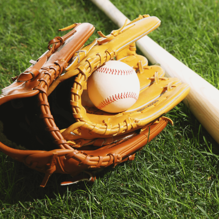 baseball unit study featured image